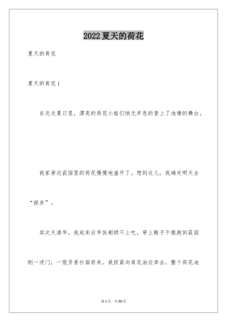 2024夏天的荷花