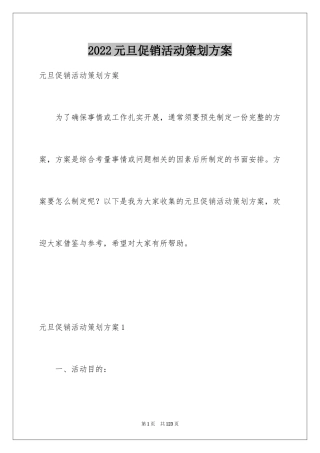 2024元旦促销活动策划方案_10