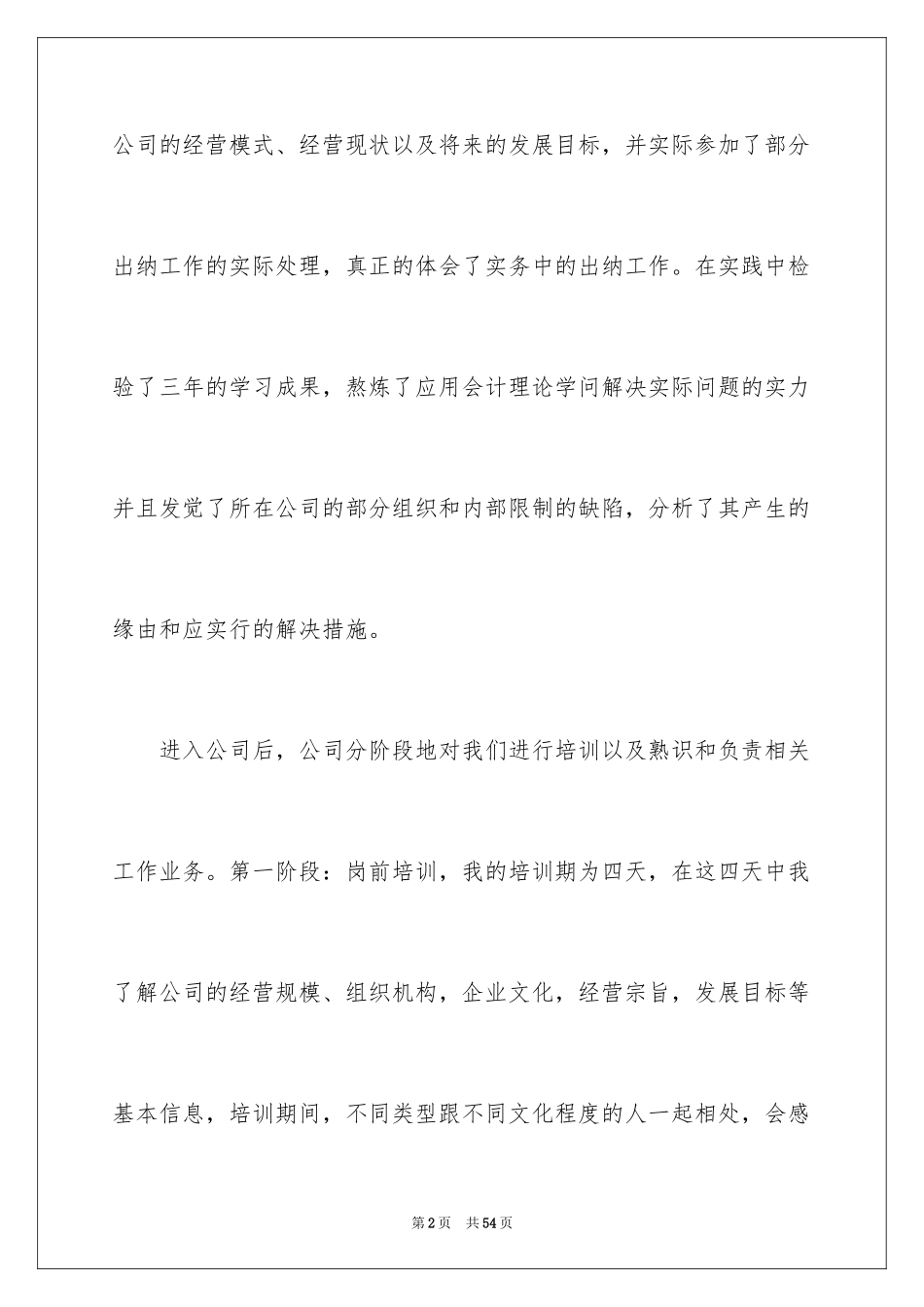 2024出纳的实习报告_19_第2页