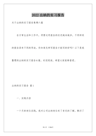 2024出纳的实习报告_19