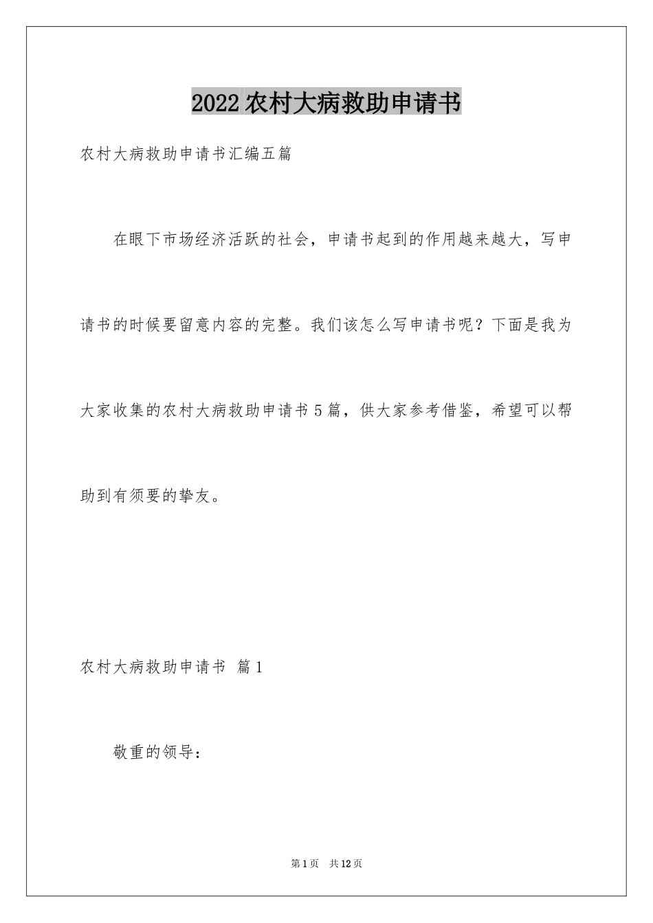 2024农村大病救助申请书_6_第1页