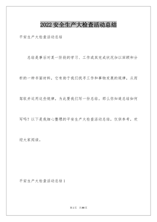 2024安全生产大检查活动总结_3