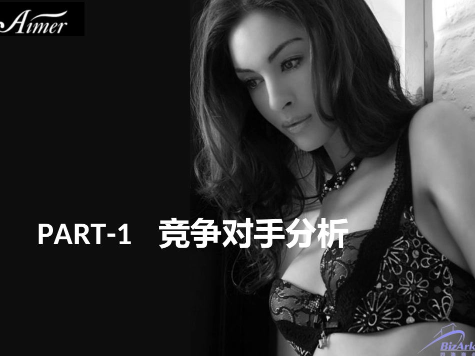 Aimer海外营销策划推广方案(ppt-30页)_第3页