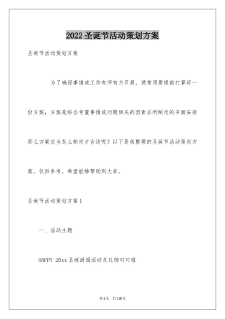 2024圣诞节活动策划方案_21