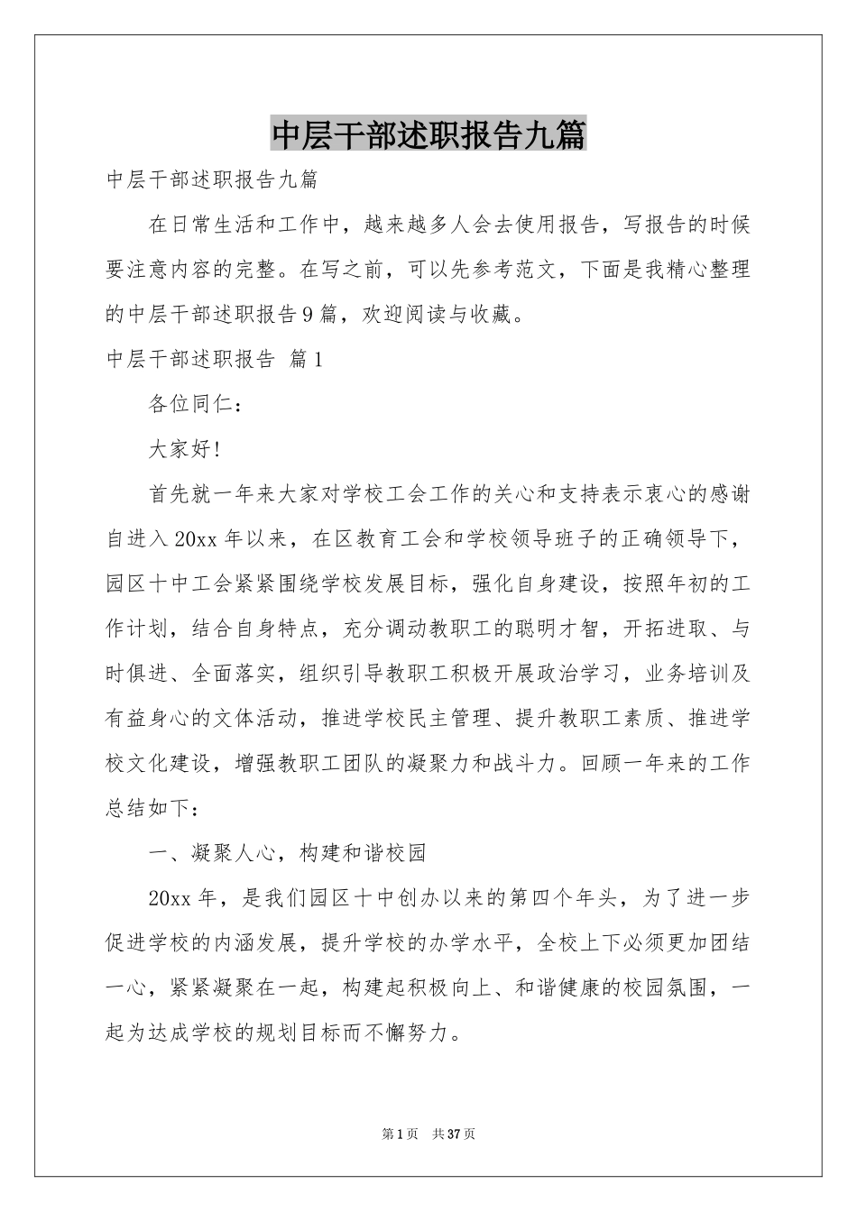 中层干部述职报告九篇_第1页