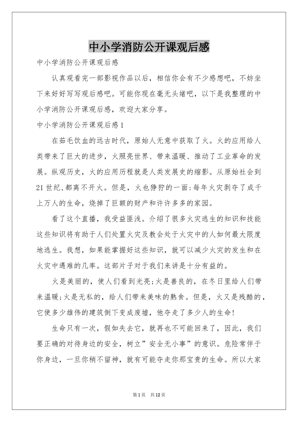 中小学消防公开课观后感_第1页