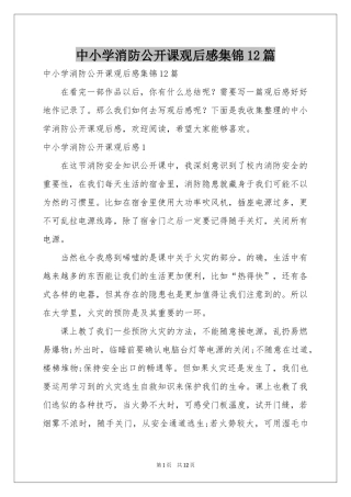 中小学消防公开课观后感集锦12篇