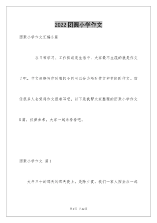 2024团圆小学作文_1
