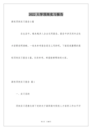 2024大学顶岗实习报告_9