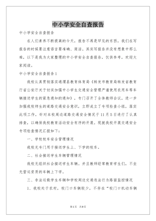 中小学安全自查报告