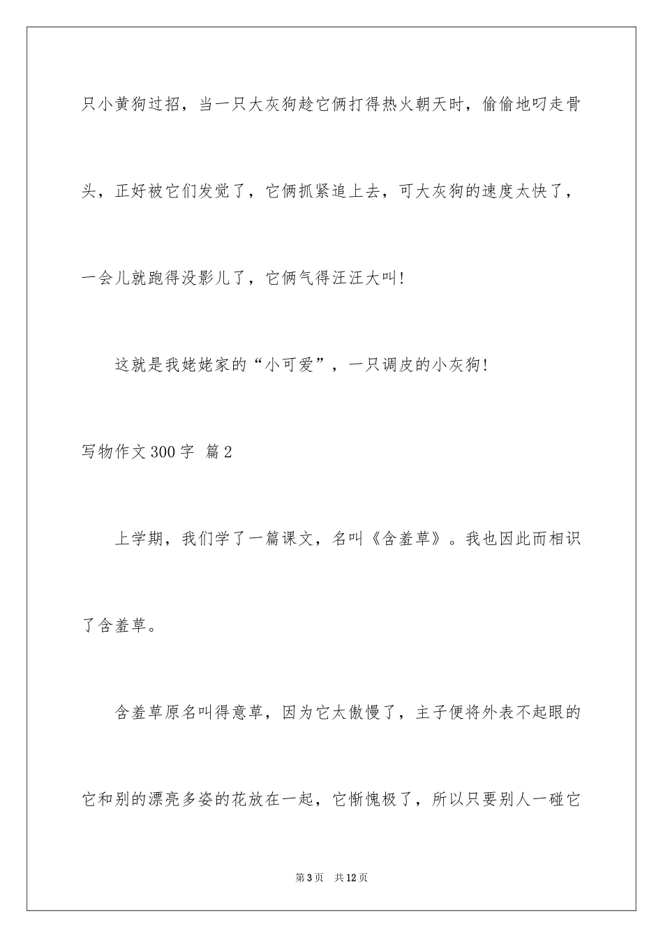 2024写物作文300字_215_第3页