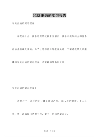 2024出纳的实习报告_100