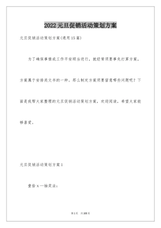 2024元旦促销活动策划方案_4