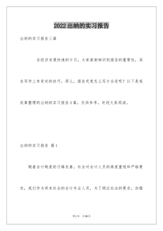 2024出纳的实习报告_50