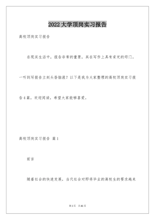 2024大学顶岗实习报告_2
