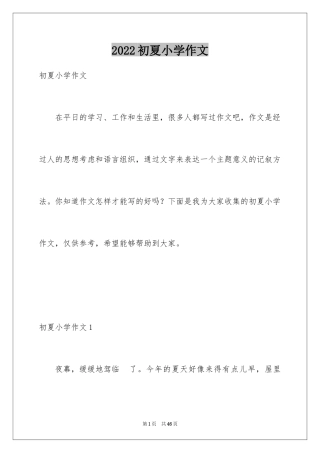 2024初夏小学作文