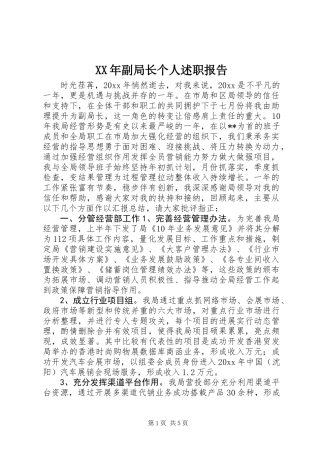 XX年副局长个人述职报告 (2)