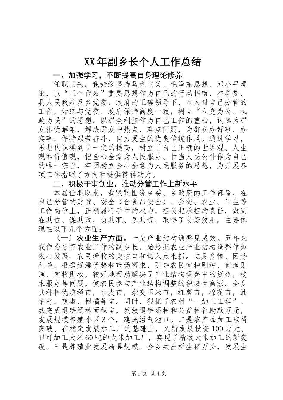XX年副乡长个人工作总结_第1页