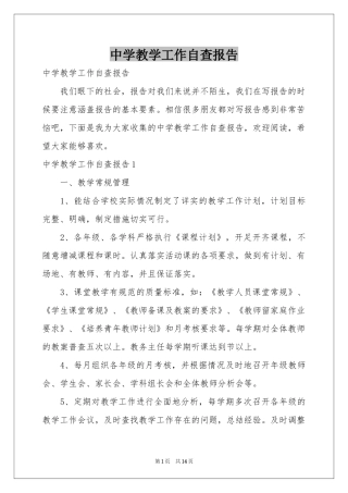 中学教学工作自查报告