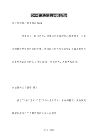 2024在法院的实习报告_9