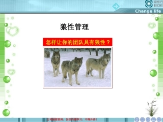 狼性管理培训
