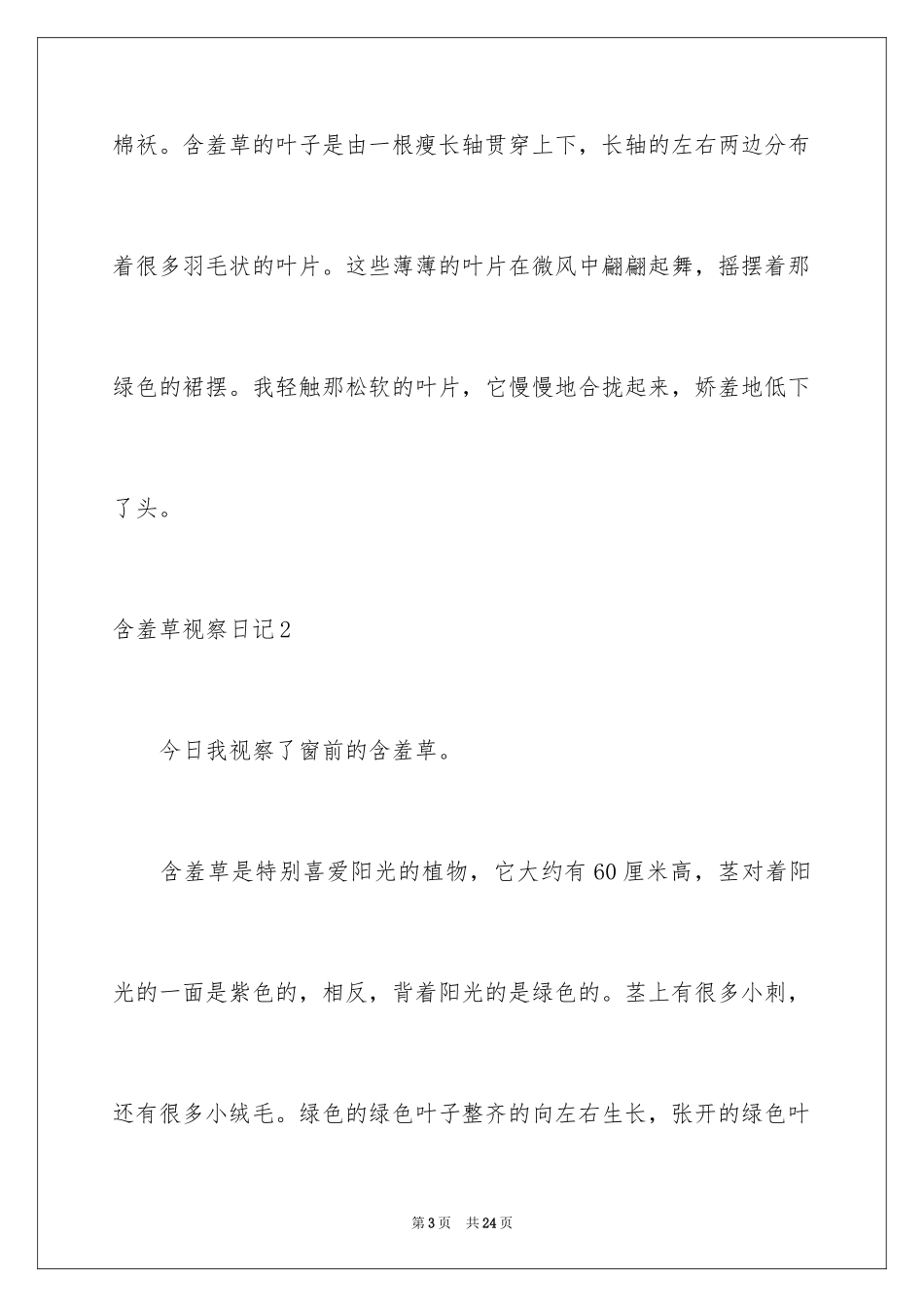 2024含羞草观察日记_2_第3页