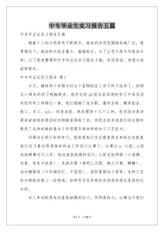 中专毕业生实习报告五篇