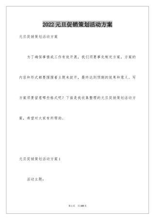 2024元旦促销策划活动方案_1