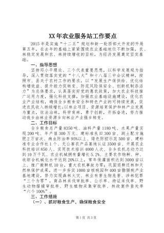 XX年农业服务站工作要点