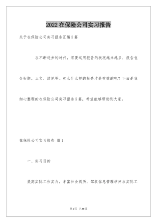 2024在保险公司实习报告_11