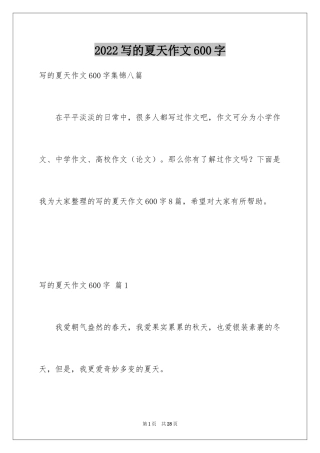 2024写的夏天作文600字_1