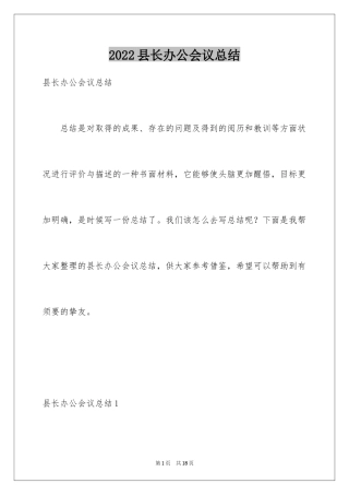 2024县长办公会议总结_1