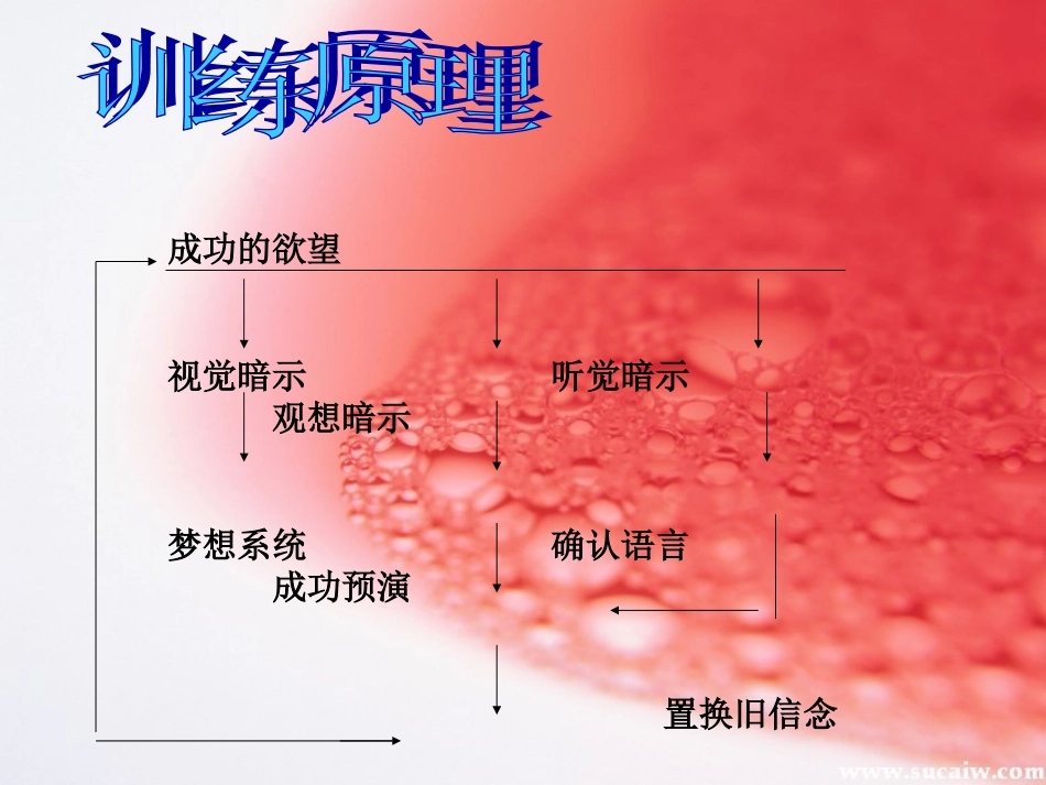 心灵财富训练_第2页