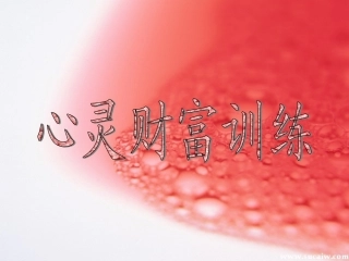 心灵财富训练