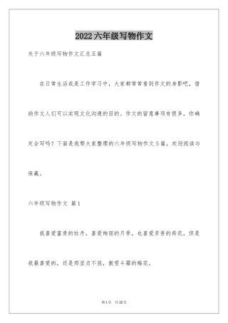 2024六年级写物作文_7