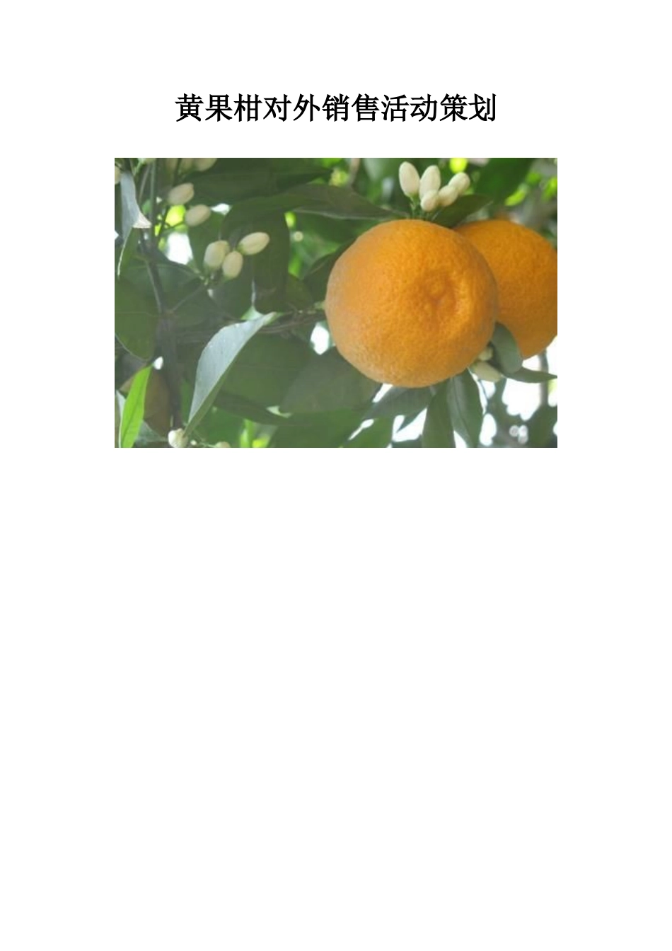 黄果柑对外销售计划_第1页