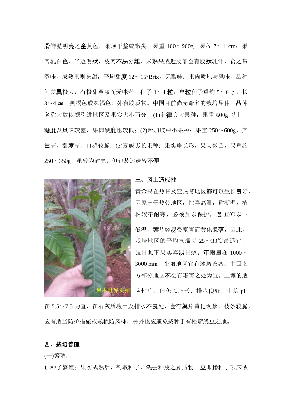 黄晶果的种植技术_第2页
