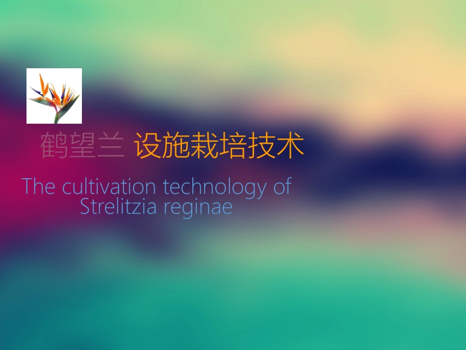 鹤望兰 设施栽培技术2_第1页