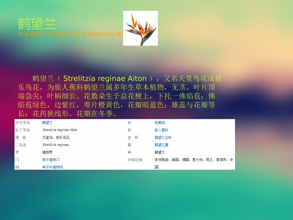 鹤望兰 设施栽培技术2_第3页