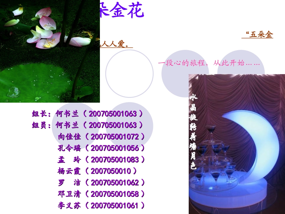 魅力锦江 五朵金花(完整版)_第1页
