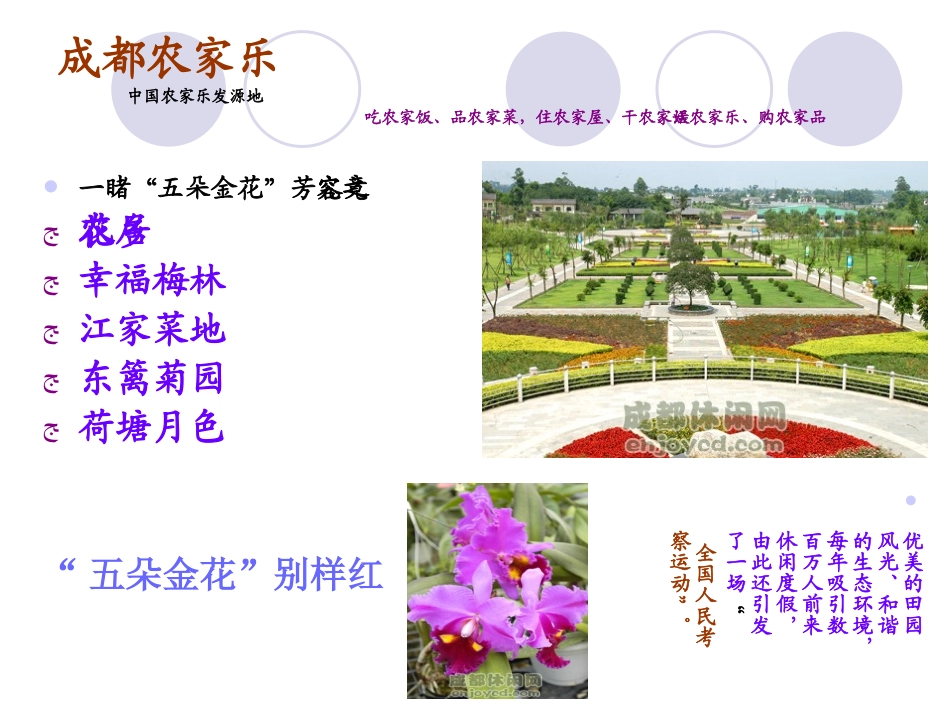 魅力锦江 五朵金花(完整版)_第3页