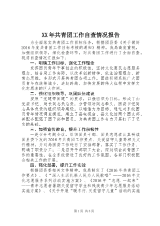 XX年共青团工作自查情况报告