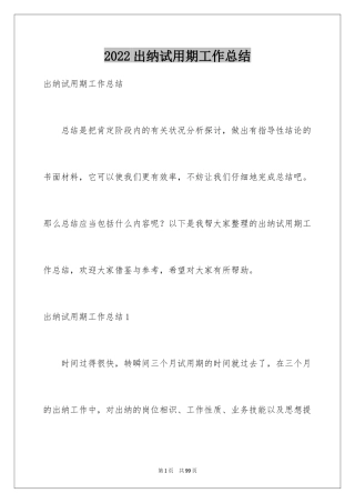 2024出纳试用期工作总结_7