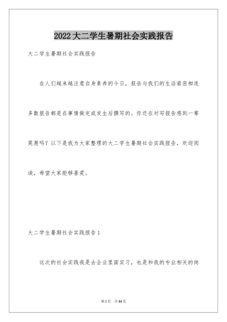 2024大二学生暑期社会实践报告_1