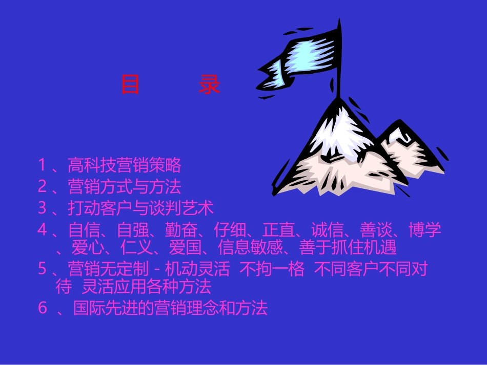高科技营销策略与方法学(0330)_第2页