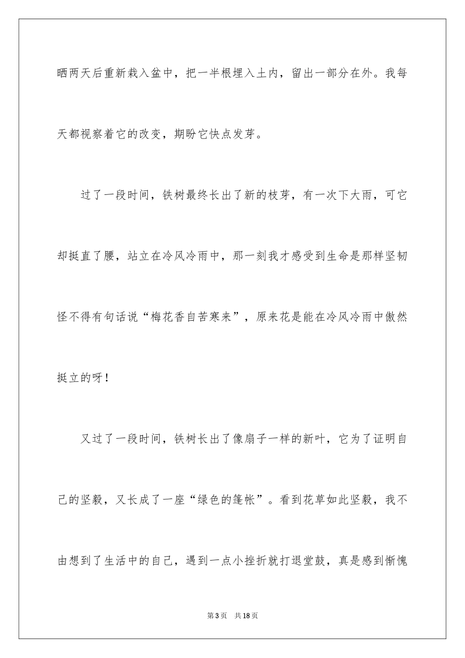 2024写物的作文_82_第3页