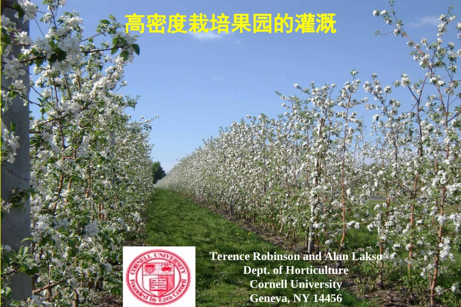 高密度栽培果园的灌溉_第1页