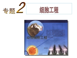 高二生物选修(3)课件：2.2.1动物细胞培养和核移植技术