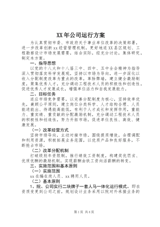 XX年公司运行方案