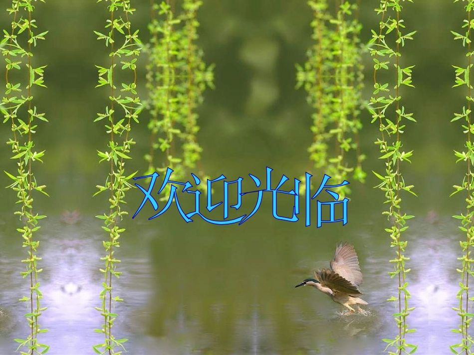 高二数学反射变换_第1页
